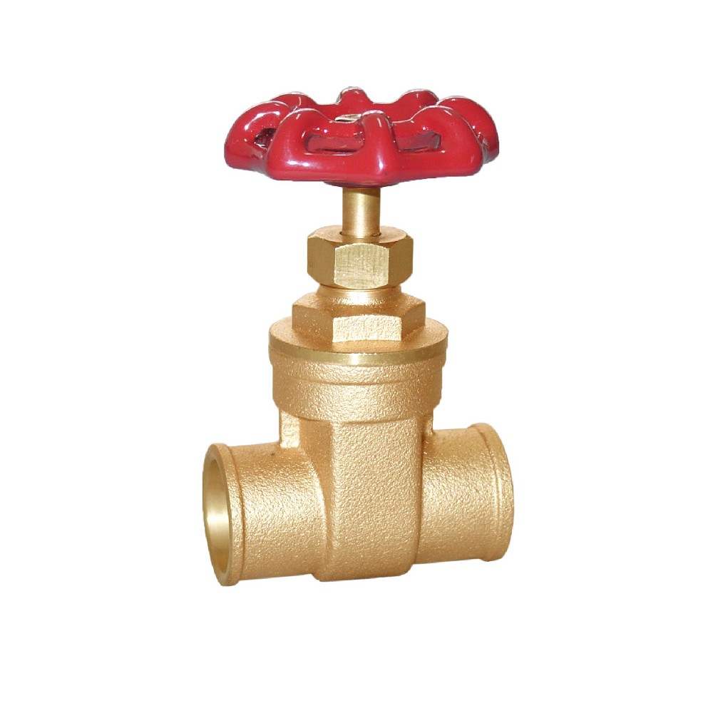 12201 Gate Valve CxC