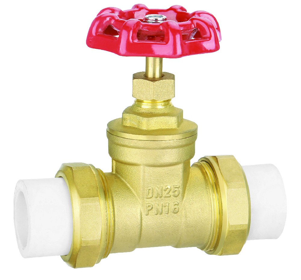 12301 PPR Gate Valve
