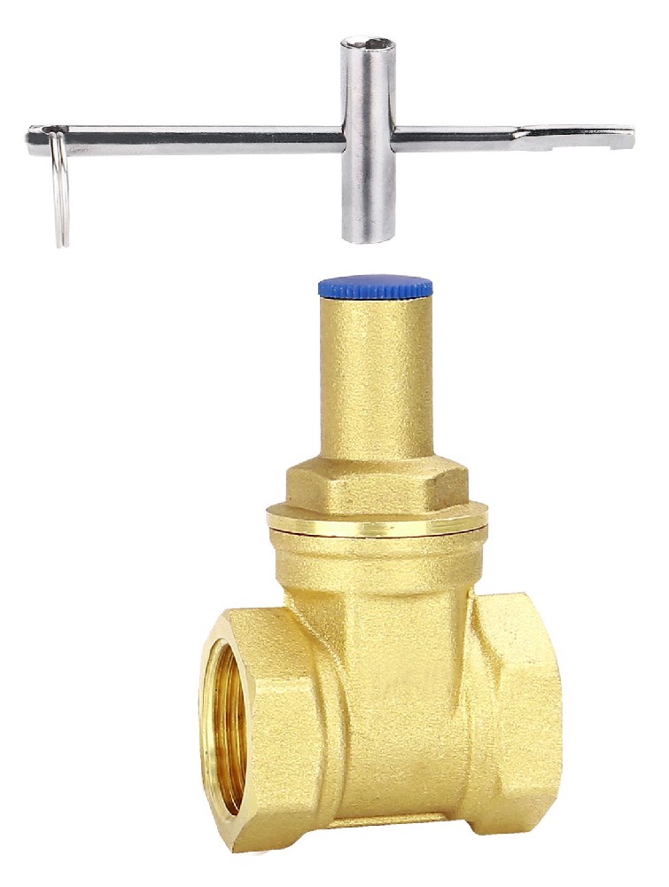12602 Lock Gate Valve