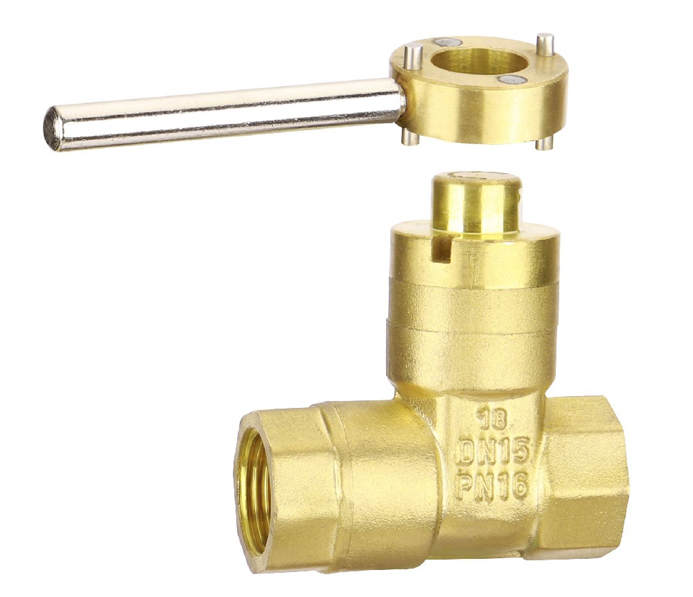 12605 Lock Gate Valve