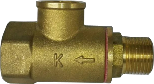 13503 Brass check valve