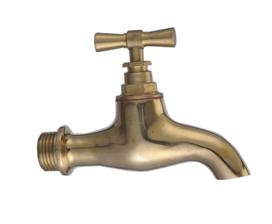 50602 Brass Polish Bibcock