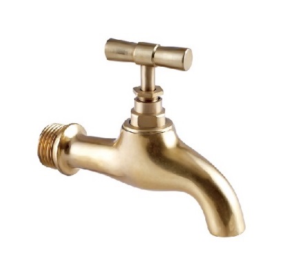 50601 Brass Polish Bibcock